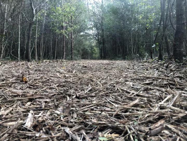 Carolina Brush Hogs Forestry Mulching