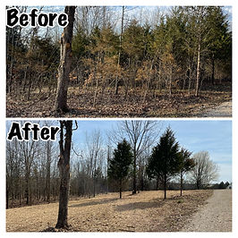 Carolina Brush Hogs Work